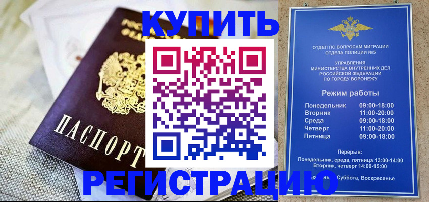 временная регистрация 2025 в Светлогорске